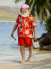 jeff Santa beach.png