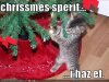 funny-christmas-animals-1.jpg