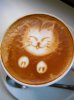 Cat-Coffee-Art__13.jpg