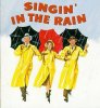 blog-yellow-singin-in-the-rain.jpg