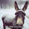 my ass is cold.jpg