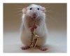 mouse sax.jpg