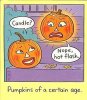 menopausal pumpkin.jpg