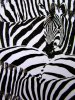 woop-studios-a-zeal-of-zebras-zebras1.jpg