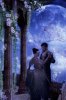 a_dance_in_the_moonlight_by_designdiva3.jpg