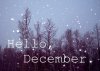 hello-december-184674-500-359_large.jpg