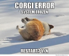 14 Hilarious Corgi Memes You’ve Never Seen Before….png