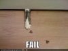 funny-pictures-fail-cat-paw.JPG