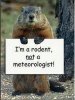 Happy Groundhog day.jpeg