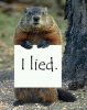 Ground Hog Day on Pinterest _ Groundhog Day, Bill….jpeg