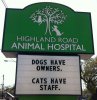 30 Of The Funniest Cat Jokes Vet Clinics Put Up On Their Signs.jpeg