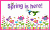 spring is here.gif