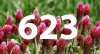 Number 623 @.jpg