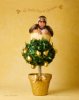 partridge-in-a-pear-tree-anne-geddes.jpg