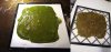 kiwi spinach before after.jpg