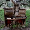 tree-piano.jpg