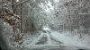 2012-03-05 snow.jpg