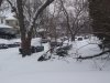 0221 snowy day 040.jpg