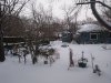 0221 snowy day 036.jpg