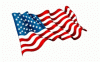 animated flag.gif