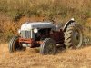 1951-ford-8n-tractor-mandy-byrd.jpg