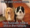 dog russians poop.jpg