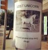 lost-unicorn-meme_large.jpg