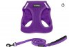 voyager harness and leash for annie.jpg