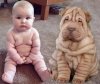 BABY & DOG.jpg