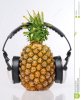 pineapple-headphones-14832035.jpg