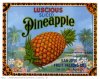 miles-graff-luscious-pineapple.jpg