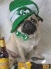 foodart-irish doggie-posted by expatandthecity.jpg